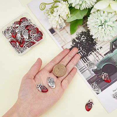 60Pcs 2 Style Tibetan Style Alloy Pendants FIND-DC0003-50-1
