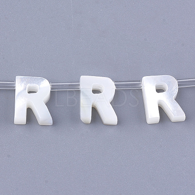 Natural Sea Shell Beads SHEL-T012-60R-1
