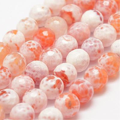 Faceted Natural Fire Crackle Agate Beads Strands G-F447-8mm-B03-1