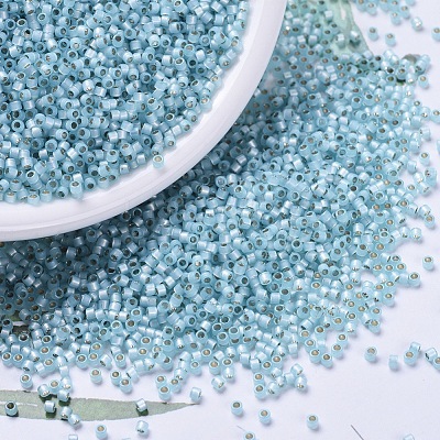 MIYUKI Delica Beads SEED-X0054-DB0628-1