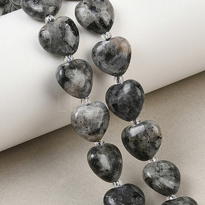 Natural Labradorite Beads Strands G-B022-32C-A-1