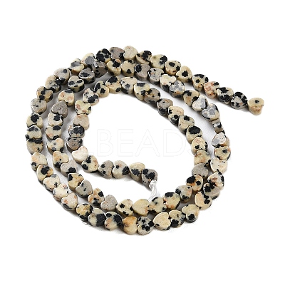Natural Dalmatian Jasper Beads Strands G-M403-A31-01-1