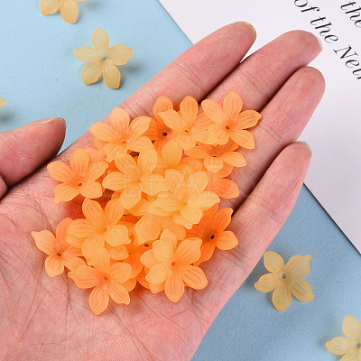 Frosted Acrylic Bead Caps MACR-S371-05A-719-1