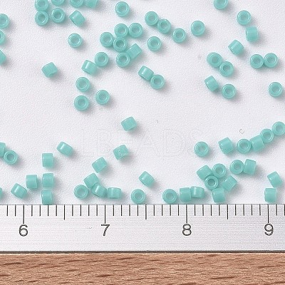 MIYUKI Delica Beads SEED-MY11-DB1136-1