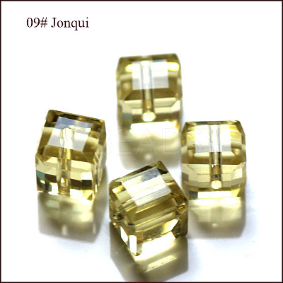 K9 Glass SWAR-F074-8x8mm-09-1