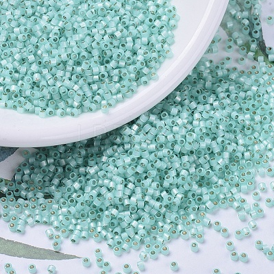 MIYUKI Delica Beads X-SEED-J020-DB0626-1