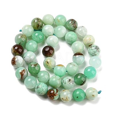 Natural Chrysoprase Beads Strands G-P503-10MM-03-1