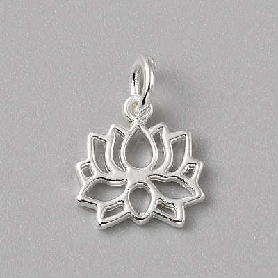 Brass Charms LS-FIND-WH0159-63S-05-1