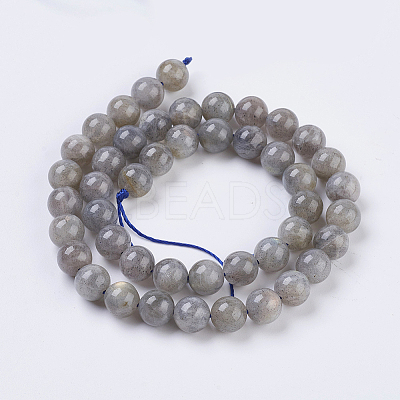 Natural Labradorite Beads Strands G-G212-8mm-23-1