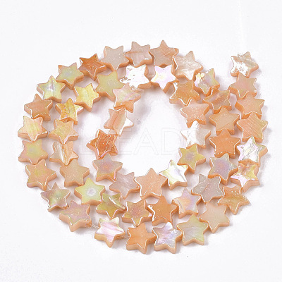 Freshwater Shell Beads Strands SHEL-N026-08C-1