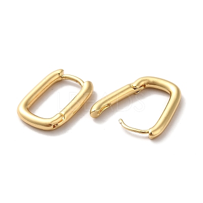 Brass Rectangle Hoop Earrings for Women ZIRC-Q201-28G-1