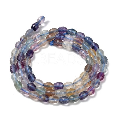 Natural Fluorite Beads Strands X-G-H320-A01-1