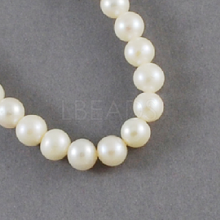 Natural Cultured Freshwater Pearl Beads Strands X-PEAR-S001-5-6mm-3-1