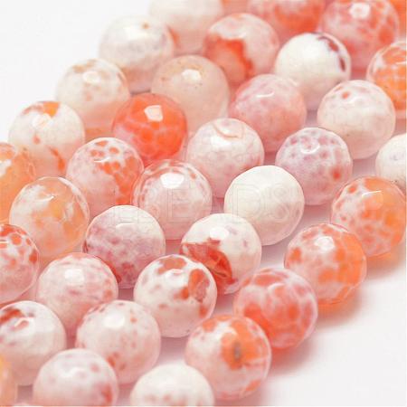 Faceted Natural Fire Crackle Agate Beads Strands G-F447-8mm-B03-1