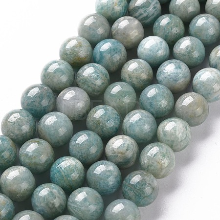 Natural Amazonite Beads Strands G-S333-10mm-005-1