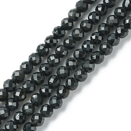 Natural Black Tourmaline Beads Strands LS-G-F748-Y01-02-1