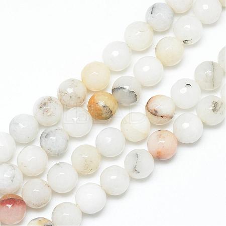 Natural Agate Bead Strands G-R346-10mm-26-1