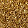 MIYUKI Delica Beads SEED-MY11-DB2157-3