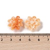Synthetic Shell Dyed Beads SHEL-C006-01-4