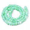 Natural Sea Shell Beads Strands SSHEL-S278-131C-2