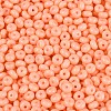 Opaque Glass Seed Beads SEED-N012-09A-10-3