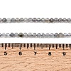 Natural Labradorite Beads Strands LS-G-RM250104-E8-5