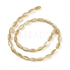 Natural Trochus Shell Beads Strands BSHE-G036-06A-2