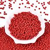 Opaque Glass Seed Beads SEED-N012-09A-12-2