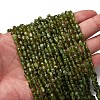 Natural Peridot Beads Strands G-I389-A27-1