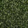 Baking Paint Silver Lined Glass Seed Beads SEED-H003-09D-2