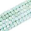 Anti-Tarnish Electroplate Glass Beads Strands LS-GLAA-T025-4mm-10B-1