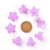 Transparent Acrylic Beads PLF018-04-3