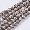 Natural Maifanite/Maifan Stone Beads Strands G-I187-6mm-01-2