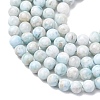 Natural Larimar Beads Strands G-B156-A01-6mm-01-4