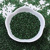 MIYUKI Delica Beads X-SEED-J020-DB0148-2