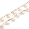 1 Strand Handmade Cultured Freshwater Pearl Beaded Chains AJEW-SZ0002-07-4