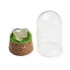 Natural Rose Quartz Nuggets Display Decoration with Glass Dome Cloche Cover DJEW-B009-03C-2