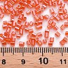 Glass Bugle Beads SEED-S032-11A-105-4