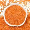 Electroplate Glass Seed Beads SEED-H003-10H-3