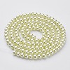 Glass Pearl Beads Strands HY-6D-B04-1