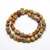 Natural Yellow Moss Agate Beads Strands G-F464-02-2