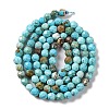 Natural Howlite Beads Strands G-C025-02C-06-3