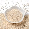 Baking Paint Glass Seed Beads SEED-S042-15A-02-2