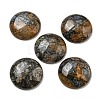 Natural Glaucophane Cabochons G-C115-02B-16-1