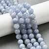 Dyed Natural Malaysia Jade Beads Strands G-G021-02B-22-4