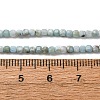 Natural Larimar Beads Strands G-F803-C01-01-5