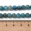 Natural Apatite Beads Strands LS-G-F816-A01-01A-5