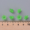 Transparent Acrylic Beads PL554-13-6