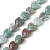 Natural Chrysocolla Beads Strands G-D316-B01-2