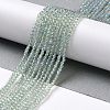 Electroplate Transparent Glass Beads Strands X-GLAA-H021-01A-FR07-3